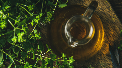 Oil of Oregano and Black Seed Oil: Benefits, Dose and How to Use