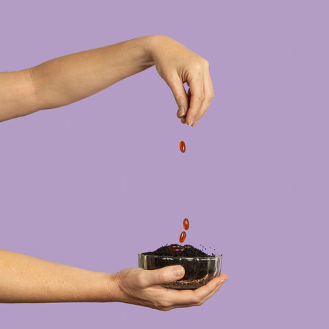 How Black Seed Oil from Hab Shifa Australia Supports Immune System Function