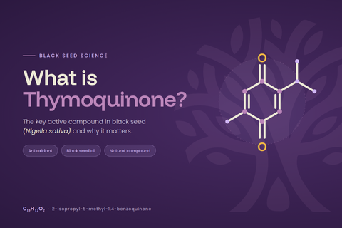 Thymoquinone Explained: The Active Compound in Black Seed Oil