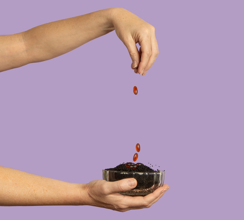 <h2>The Oil Your Whole Body Benefits From.</h2>